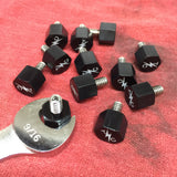 TSC Bolt Seat Screw